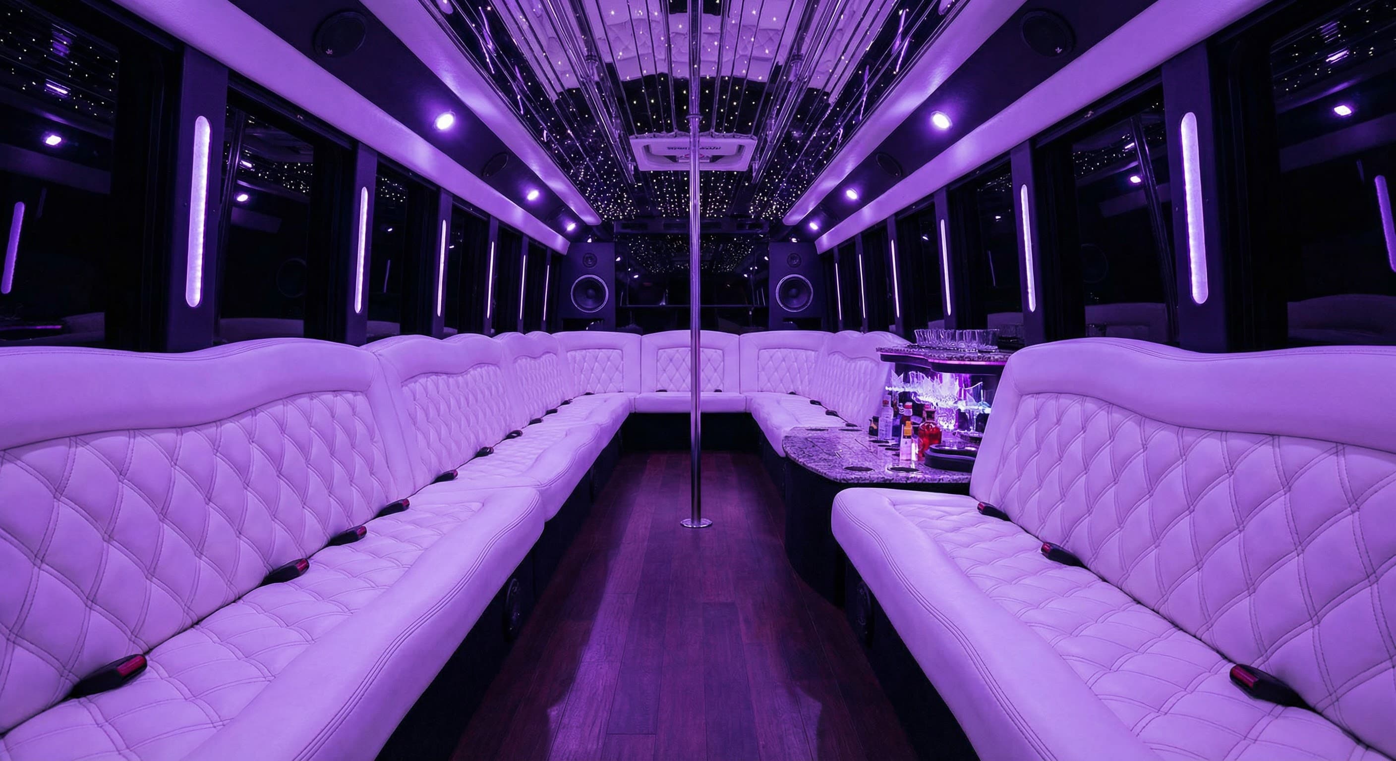 38 Passenger Party Bus interior
